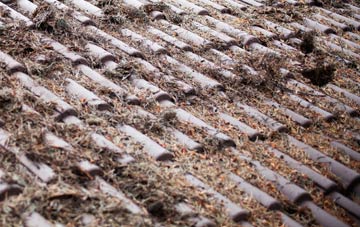 Fleetwood roof cleaning companies