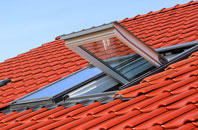 Fleetwood roof window